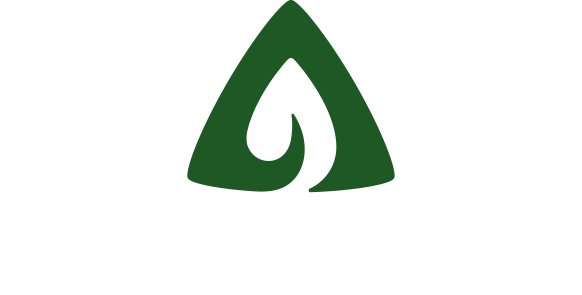 il Borgo negli ulivi